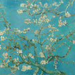 Almond Blossoms by Van Gogh