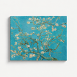 Almond Blossoms by Van Gogh