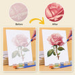 Paint Your Way Through the Garden (Set of 6)
