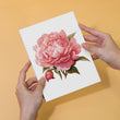 Paint Your Way Through the Garden (Set of 6)