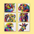 Paint Your Way Through the Rainbow (Set of 6)