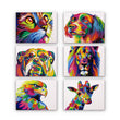 Paint Your Way Through the Rainbow (Set of 6)