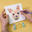 Paint Your Favorite Breed (Set of 6)