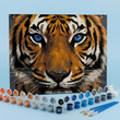 The Painting Experience Box