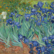 Irises by Vincent van Gogh
